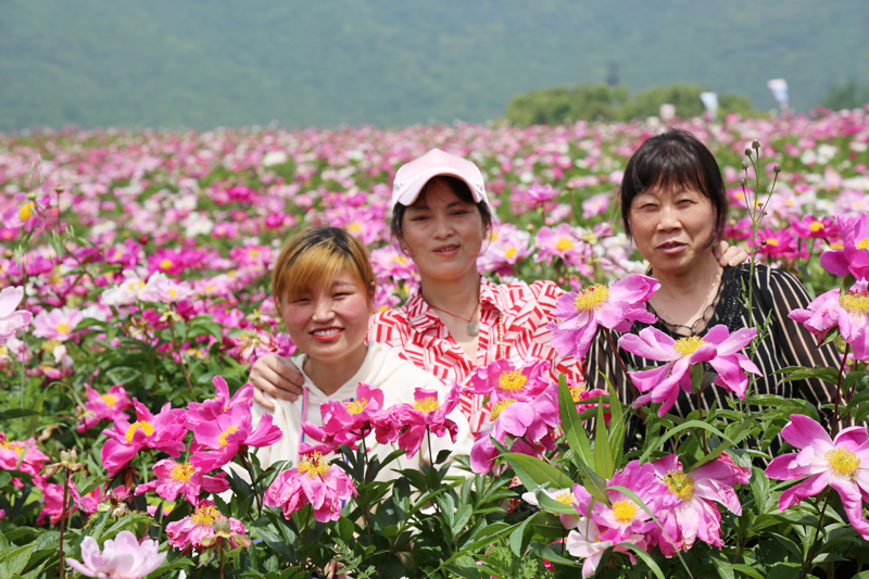 幸福元琛-讓我們一起相約美好 看繁花似錦 幸福元琛-讓我們一起相約美好 看繁花似錦