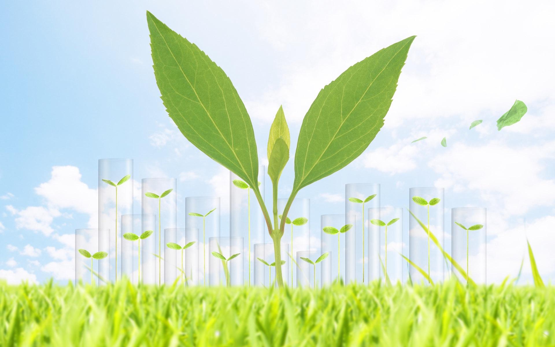 生物質發電廠案例